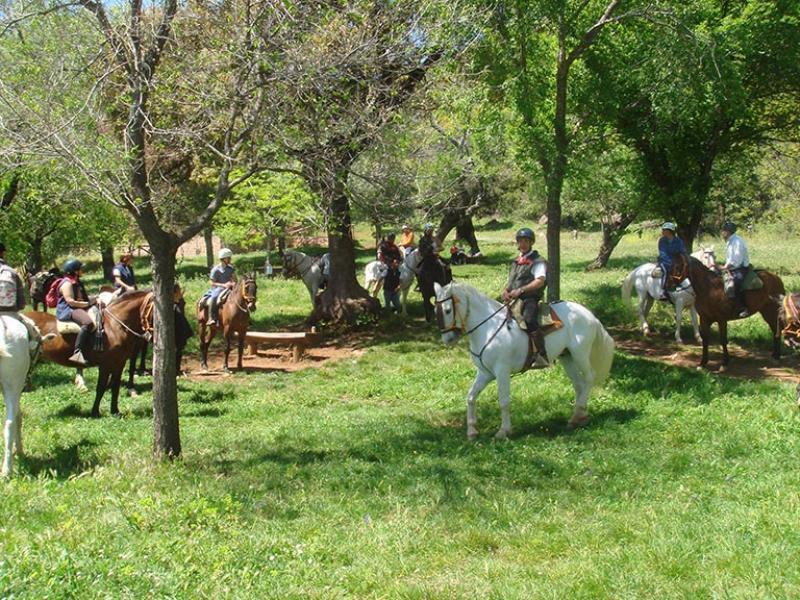 Casa Tinoco Casa Rural Categoria Superior Fuenteheridos Ngoại thất bức ảnh